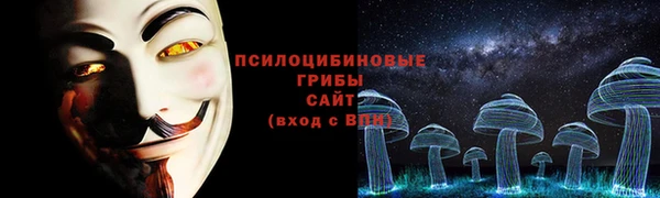 mdma Краснослободск
