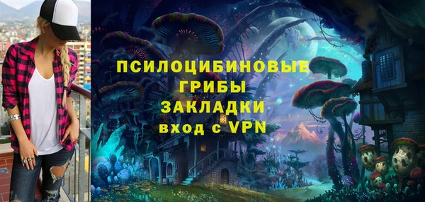 индика Красноперекопск