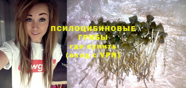 mdma Краснослободск