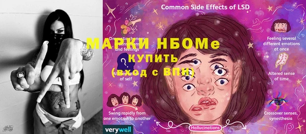 индика Красноперекопск