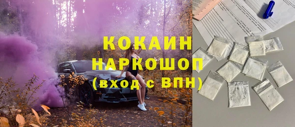 индика Красноперекопск